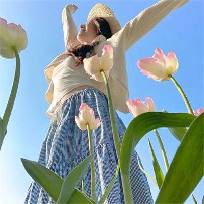 狮子王们的夏天